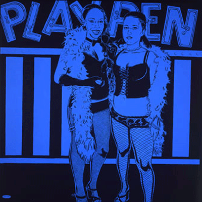 Playpen - 36x36 in. - Available